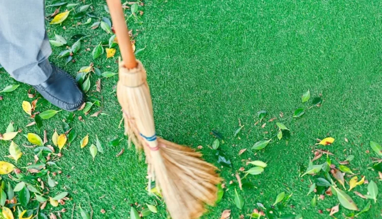 sweep artificial grass